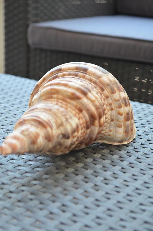 Ammos Beach Glífa Dış mekan fotoğraf